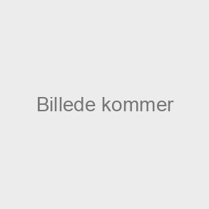 Bagd�se til detektor